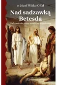 Religia i religioznawstwo - Nad sadzawką Betesda. Uzdrowienie przez modlitwę różańcową - Józef Witko - miniaturka - grafika 1