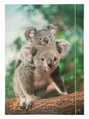 Teczki i skoroszyty - Folia Teczka "Jungle cuties" ze wzorem - miniaturka - grafika 1