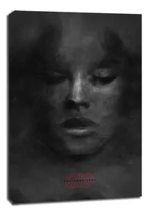 Star Wars Gwiezdne Wojny - The last Jedi - Breath - obraz na płótnie Wymiar do wyboru: 50x70 cm - Obrazy i zdjęcia na płótnie - miniaturka - grafika 1