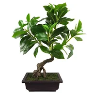 Sztuczne drzewka - Leaf Sztuczne drzewo, mieszanka materiałów, bonsai zielony, 50 cm - miniaturka - grafika 1