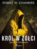 Audiobooki - fantastyka i horror - Król w Żółci. Zbiór opowiadań - miniaturka - grafika 1