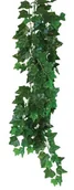 Dekoracje do terrarium - Roślina do terrarium Hedera Helix Happet 70cm - miniaturka - grafika 1
