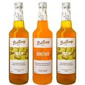 Syropy i koncentraty owocowe - 3x Syrop Batkovy 2 Imbir 1 Rokitnik JESIEŃ - miniaturka - grafika 1