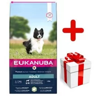 Sucha karma dla psów - Eukanuba Adult Small&Medium Breed Lamb&Rice 12 kg - miniaturka - grafika 1