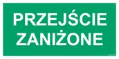 Systemy ekspozycyjne i znaki informacyjne - AC039 PRZEJŚCIE ZANIŻONE, TS - PŁYTA TD FOTOLUMINESCENCYJNA; (600X300MM) - miniaturka - grafika 1