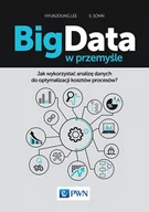 Zarządzanie - WYDAWNICTWO NAUKOWE PWN BIG DATA W PRZEMYŚLE JAK WYKORZYSTAĆ ANALIZĘ DANYCH DO OPTYMALIZACJI KOSZTÓW PROCESÓW - miniaturka - grafika 1