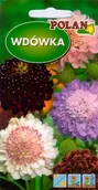 Nasiona i cebule - Wdówka Mieszana 2 g POLAN - miniaturka - grafika 1