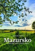 Przewodniki - Mazursko.Miasteczka, porty, jeziora, ludzie. Część 3 - Agnieszka Żelazko - miniaturka - grafika 1