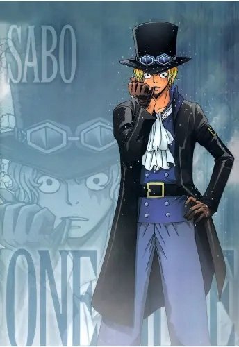 Plakat Anime Manga One Piece op_017 A1+ (custom)