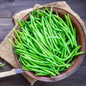 Nasiona i cebule - NASIONA FASOLA SANDRA BARDZO DOBRA ODMIANA 50 G. - miniaturka - grafika 1