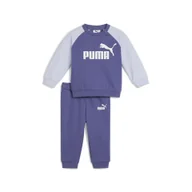 Odzież sportowa dziecięca - Zestaw dla małych dzieci Minicats Essentials z raglanową bluzą PUMA - miniaturka - grafika 1
