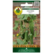 Nasiona i cebule - Ogórek Iznik nasiona 10szt. Pnos - miniaturka - grafika 1