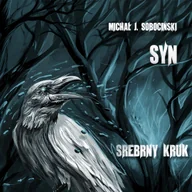 Audiobooki - fantastyka i horror - Syn - miniaturka - grafika 1