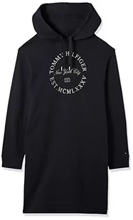 Tommy Hilfiger Damska bluza z kapturem Reg Metllc okrągły z kapturem DRS, pustynne niebo, XXL, Pustynne niebo, XXL - Bluzy damskie - miniaturka - grafika 1