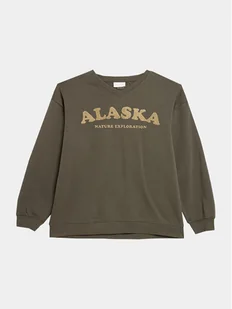 Outhorn Bluza OTHAW23TSWSF0735 Khaki Regular Fit - Bluzy damskie - miniaturka - grafika 1