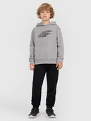 Spodnie i spodenki dla chłopców - 4F Spodnie dresowe joggery chłopięce - czarne 164 (13-14 lat) - miniaturka - grafika 1