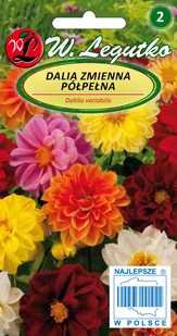 Legutko sp. z o.o Nasiona Dalia karłowa pełna i półpełna-mix, 1g - Nasiona i cebule - miniaturka - grafika 1