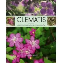 RM Clematis. Najpiękniejsze gatunki powojników - Friedrich Manfred Westphal