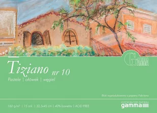 GAMMA Tiziano Blok do pasteli 32,5x45 - NR 10 - Podobrazia, bloki, papiery - miniaturka - grafika 1