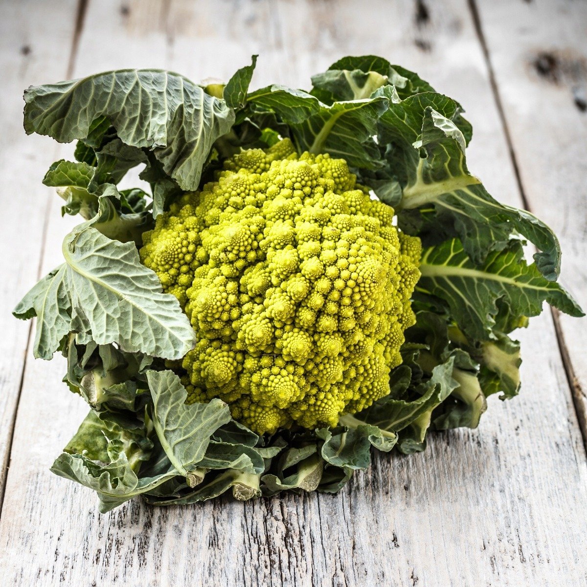 Kalafior Romanesco włoski 1 sztuka