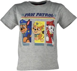 T-shirt dla dzieci Psi Patrol Szary - Koszulki dla dziewczynek - miniaturka - grafika 1