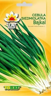 Toraf Cebula Siedmiolatka Bajkal nasiona warzyw 3g 00070 - Nasiona i cebule - miniaturka - grafika 1