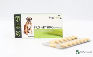 Dogshield Pro Arthro Complex 90 tabletek - preparat na schorzenia stawów dla psa - Suplementy i witaminy dla psów - miniaturka - grafika 1