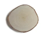 Dekoracje domu - Plaster Drewna Brzoza Szlifowana 17 - 20 Cm / 2 Cm Plastry Drewna - miniaturka - grafika 1