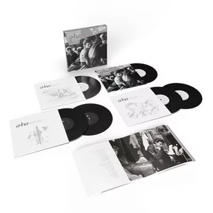 Box: Hunting High and Low (Deluxe Edition) - Winyle - miniaturka - grafika 1
