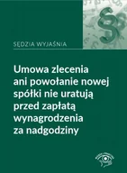 Ekonomia - WIEDZA I PRAKTYKA Opis długi Umowa zlecenia ani powołanie nowej spółki nie uratują przed zapłatą wynagrodzenia z - miniaturka - grafika 1