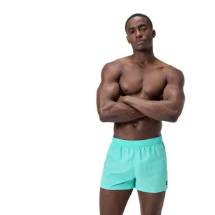 Spodenki szorty plażowe na basen męskie Speedo Solid Retro Volley - Kąpielówki męskie - miniaturka - grafika 1