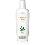 Szampony do włosów - Cannaderm Capillus Szampon na problemy łojotokowe AZS łuszczycę 150ml 7% oleju z konopi FDC4-42577 - miniaturka - grafika 1