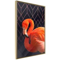 Plakaty - Plakat - Pomarańczowy flaming (rozmiar 40x60, wykończenie Rama złota z passe-partout) - miniaturka - grafika 1