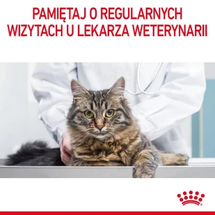 ROYAL CANIN  Urinary Care 2kg + niespodzianka dla kota GRATIS! - Sucha karma dla kotów - miniaturka - grafika 6