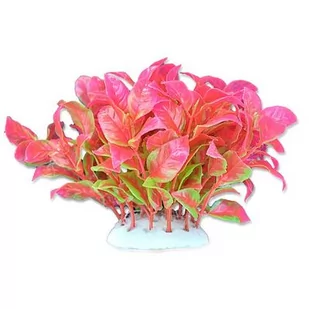 Roślina folia 10cm 1f05 Happet - Dekoracje do akwarium - miniaturka - grafika 1