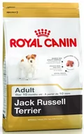 Sucha karma dla psów - Royal Canin Jack Russel Adult 0,5 kg - miniaturka - grafika 1