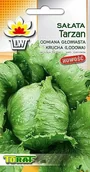 Nasiona i cebule - Nasiona Sałata Krucha Lodowa Tarzan Toraf - miniaturka - grafika 1