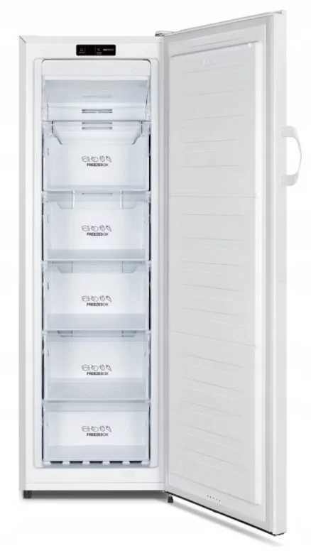 Gorenje FN4172CW