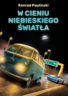 E-booki - kryminał i sensacja - W cieniu niebieskiego światła - miniaturka - grafika 1