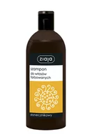 Szampony do włosów - Ziaja Szampon do włosów włosów farbowanych słonecznikowy 500ml - miniaturka - grafika 1