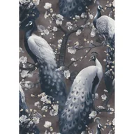 Tapety - Tapeta winylowa na flizelinie paw brązowe tło - miniaturka - grafika 1