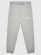 Spodnie i spodenki dla chłopców - Adidas Spodnie dresowe adicolor H32407 Szary Regular Fit - miniaturka - grafika 1