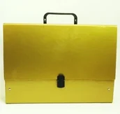 Teczki i skoroszyty - Penmate Tadeo Trading Teczka z rączką B4 Jumbo - złota AA526TT - miniaturka - grafika 1