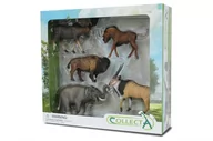 Figurki dla dzieci - Collecta, Zestaw dzikich zwierząt w opakowaniu, 5 szt. - miniaturka - grafika 1