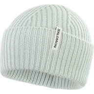 Czapki męskie - CZAPKA SALOMON SNOWBIRD C23297 - miniaturka - grafika 1