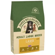 Sucha karma dla psów - James Wellbeloved Adult Large Breed, jagnięcina i ryż - 10 kg - miniaturka - grafika 1