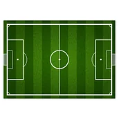 Dekoracje sali - Baner 100x70 Boisko piłkarskie kibica - miniaturka - grafika 1