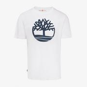 Koszulki męskie - TIMBERLAND T-SHIRT TREE LOGO SHORT SLEEVE TEE - Timberland - miniaturka - grafika 1