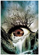 Zabawki kreatywne - Diamentowa Mozaika Oko Przyrody 30x40 - miniaturka - grafika 1