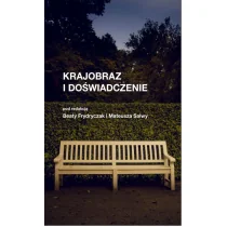 Krajobraz i doświadczenie Frydryczak Beata Salwa Mateusz - Publicystyka Krajobraz i doświadczenie Frydryczak Beata Salwa Mateusz - Publicystyka - miniaturka - grafika 1